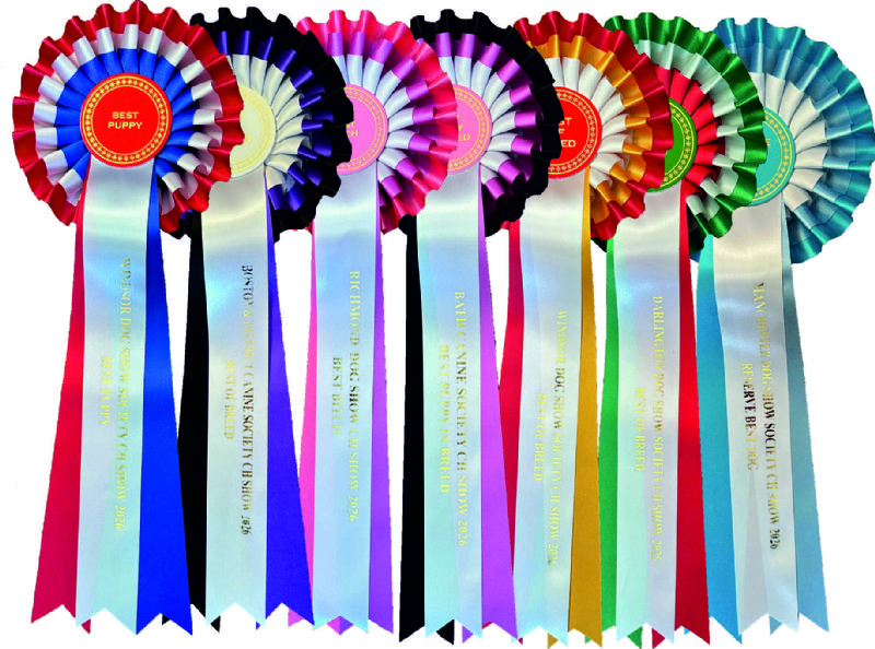 Best Dog-Best Bitch etc